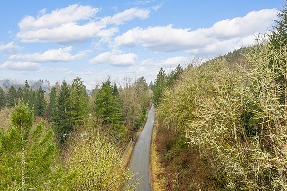 Scenic Landscape