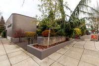 Piedmont Station Area Businesses