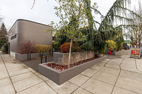Piedmont Station Area Businesses
