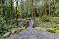 Marshall Park - Taylors Ferry Rd