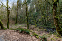 Marshall Park - Taylors Ferry Rd
