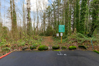Treehill Condos Wood Village