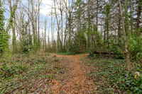 Treehill Condos Area - Wood Village