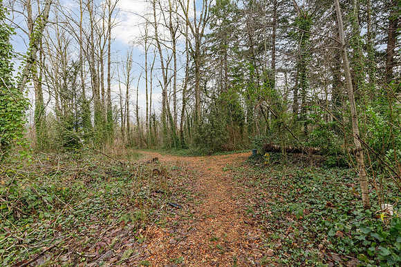 Treehill Condos Area - Wood Village