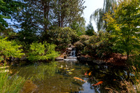 Charbonneau Pond and fish