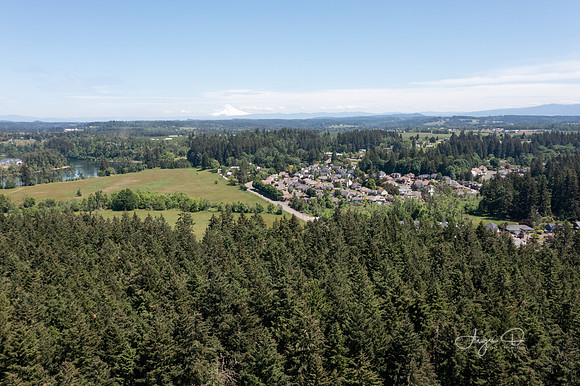 Mt Hood from Gresham