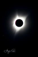 Solar Eclipse 2017 for 8X10 or smaller