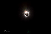 Diamond Ring 2017